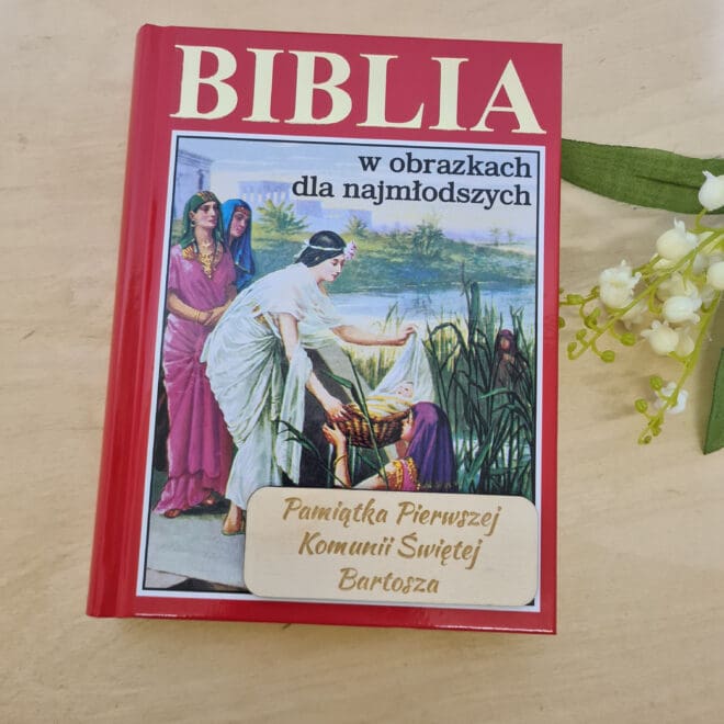 ILUSTROWANA BIBLIA Z GRAWEREM